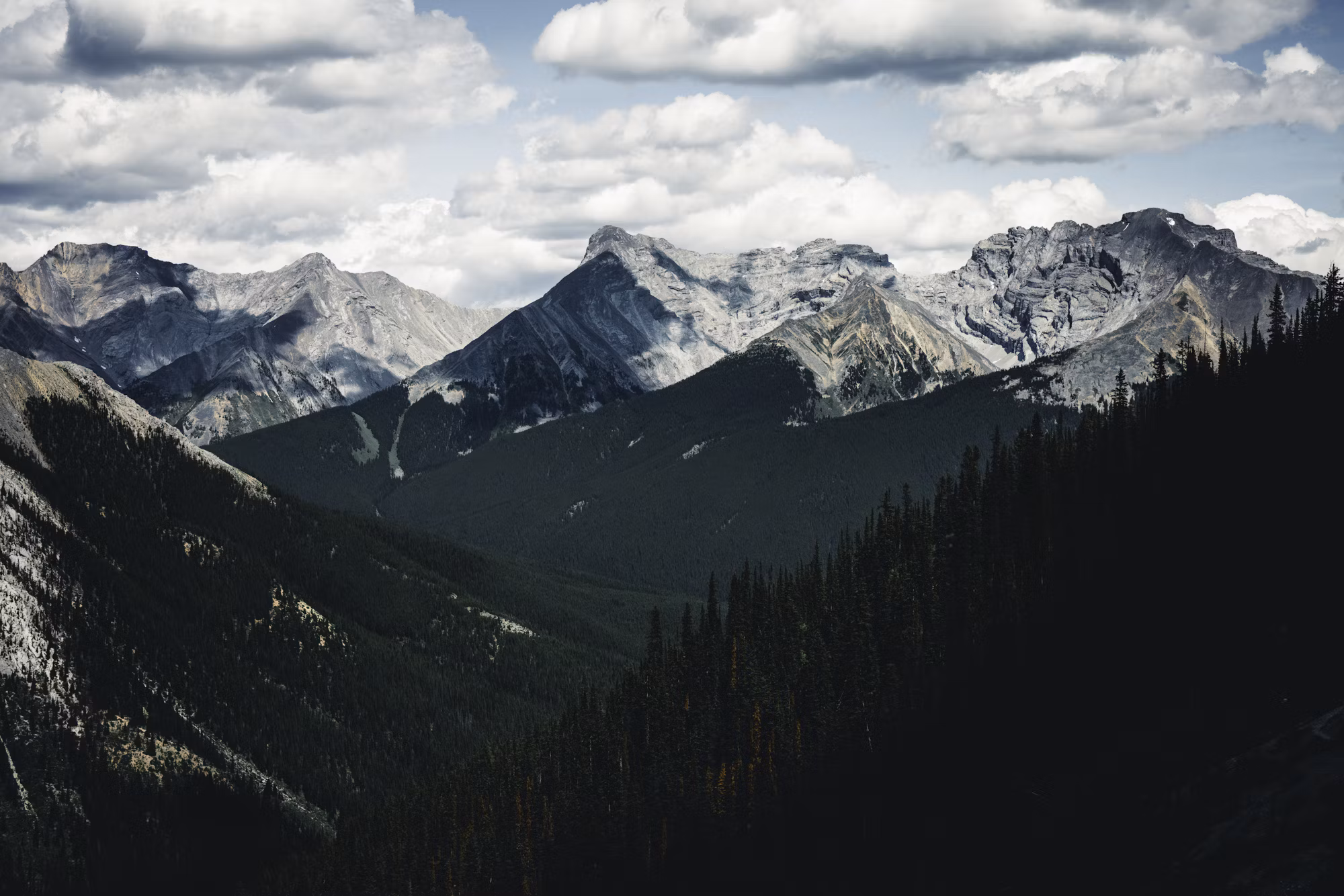 Exploring the World of Trail Running: A Guide to Getting Started